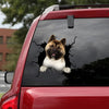 Akita Crack Stickers For Cars Your Cute Jeans Decals Stickers Mother's Day Gifts From Daughter - Dog Lovers die-cut waterproof vinyl sticker decal