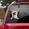 Akita Crack Decal For Car Fun Custom Die Cut Stickers Gift - Dog Lovers die-cut waterproof vinyl sticker decal