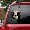 Texas Longhorn Crack Door Decal Humor Avery Sticker Paper Gifts - General die-cut waterproof vinyl sticker decal