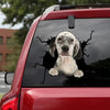 [da0111-snf-tpa]-english-setter-crack-car-sticker-dogs-lover