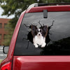 [bv0153-snf-tpa]-papillon-dog-crack-car-sticker-dogs-lover