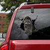 [ld0829-snf-lad]-black-shih-tzu-crack-car-sticker-fishes-lover