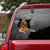 Bloodhound Crack Decal Car Cute Water Bottle Labels Gifts For Wine Lovers - Dog Lovers die-cut waterproof vinyl sticker decal