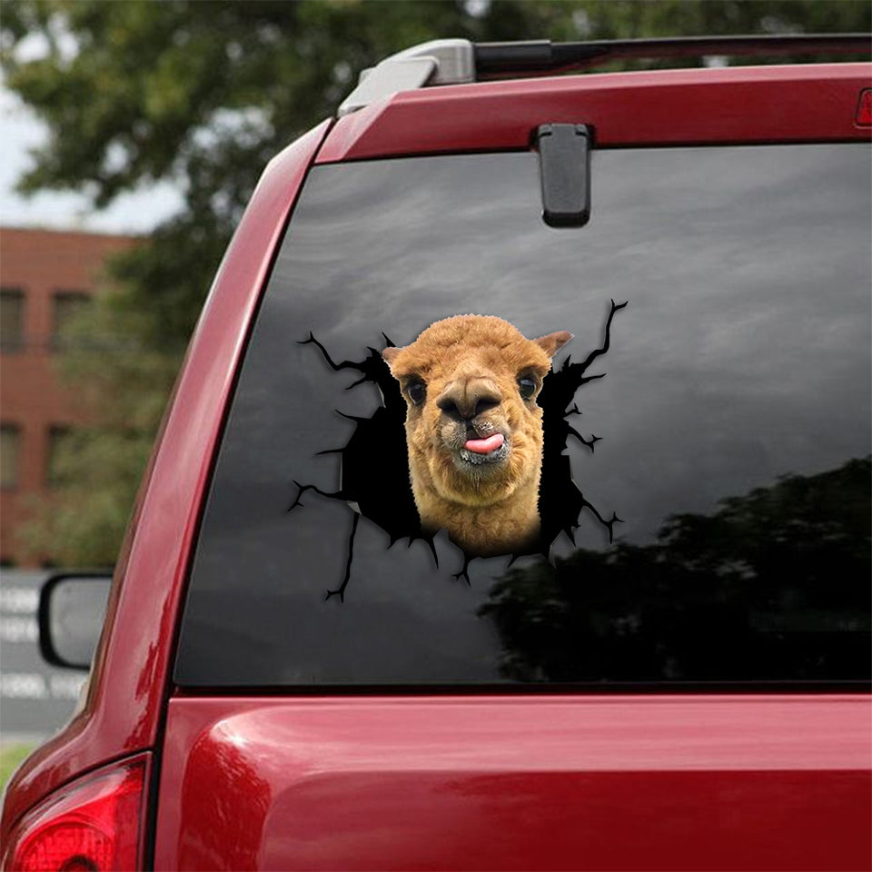Alpaca Crack Head Decal Funny Gifs Custom Car Decals Gifts For Artists - General die-cut waterproof vinyl sticker decal