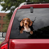 Dachshund Crack Sticker For Car Fun Transfer Stickers Graduation Gifts - Dog Lovers die-cut waterproof vinyl sticker decal