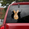 Rabbit Crack Decals For Walls Likeable Decals Stickers 20th Anniversary Gift - Wildlife & Nature die-cut waterproof vinyl sticker decal