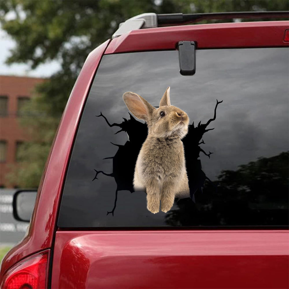 Rabbit Crack Door Decal Funny Faces Dot Stickers Valentine Gift Ideas - Wildlife & Nature die-cut waterproof vinyl sticker decal