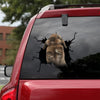 Rabbit Crack Decal For Rear Window Wiper Humor Custom Decals For Trucks Best Gifts For Men - Wildlife & Nature die-cut waterproof vinyl sticker decal
