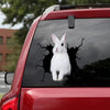 Rabbit Crack Decals Funny Birthday Memes Decals Stickers Christmas Gift Ideas For Him - custom sticker applied on car truck window preview