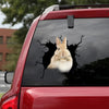 Rabbit Crack Sticker For Car Funny Vinyl Labels New Dad Gifts - Wildlife & Nature die-cut waterproof vinyl sticker decal