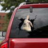 Rabbit Crack Sticker Car Window Corny Jokes Custom Sticker Maker Groomsmen Gifts - Wildlife & Nature die-cut waterproof vinyl sticker decal