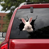 Rabbit Crack Head Decal The Cutest Vinyl Decals Christmas Gift Ideas For Him - Wildlife & Nature die-cut waterproof vinyl sticker decal