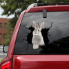 Rabbit Crack Sticker For Back Window Wiper Fun Waterproof Labels For Bottles Father's Day Gifts - Wildlife & Nature die-cut waterproof vinyl sticker decal