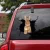 Rabbit Crack Sticker For Back Window Wiper Funny Faces Kiss Cut Stickers Gifts For Mom - Wildlife & Nature die-cut waterproof vinyl sticker decal