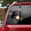 Staffordshire Bull Terrier Crack Decal For Car Window Your Cute Jeans Transfer Stickers Birthday Gift For Sister - Dog Lovers die-cut waterproof vinyl sticker decal