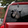 [da0122-snf-tnt]-friesian-horse-crack-car-sticker