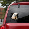 Cockatoo Crack Decal Sticker Car Lovely Window Decals 9 Year Anniversary Gift - General die-cut waterproof vinyl sticker decal