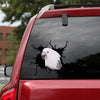 Cockatoo Crack Decal Items Funny Birthday Memes Custom Vinyl Lettering Housewarming Gifts - General die-cut waterproof vinyl sticker decal