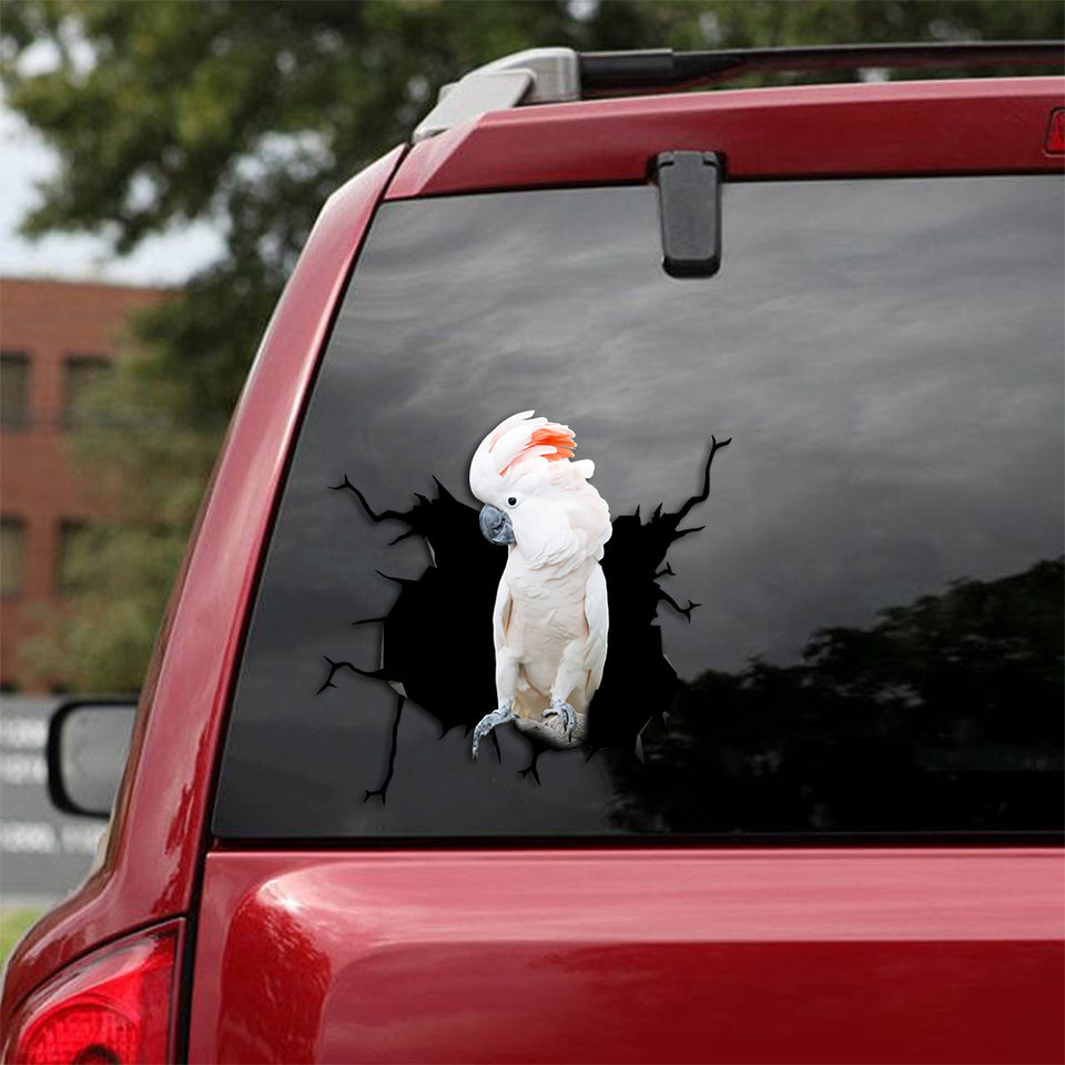 Cockatoo Crack Decals For Walls The Cutest Sticker Maker Care Package Ideas - General die-cut waterproof vinyl sticker decal