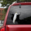 Cockatoo Crack Decal Window Wiper Funny Jokes Small Stickers Diy Christmas Gifts - General die-cut waterproof vinyl sticker decal