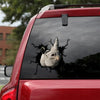 Rhino Crack Decal For Back Car Window Funny Name Tag Stickers Christmas Gifts For Wife - General die-cut waterproof vinyl sticker decal