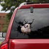 Rhino Crack Decal For Car Window Funny Pictures Car Sticker Good Fathers Day Gifts - General die-cut waterproof vinyl sticker decal