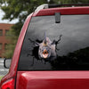 Rhino Crack Sticker Emoji Cuteness Overloaded Water Bottle Labels Mens Gift Sets - General die-cut waterproof vinyl sticker decal