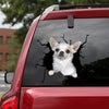 [sk0714-snf-tnt]-chihuahua-crack-sticker-dogs-lover