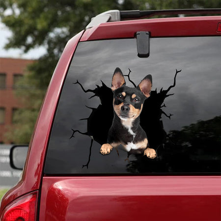 Chihuahua Crack Decal for Wall Pretty Car Window Decals Secret