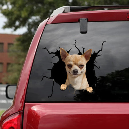 Chihuahua Crack Head Decal Super Cute Custom Sticker Maker 12