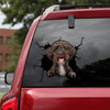 Schnoodle Crack Sticker For Back Window Wiper Funny Gifs Car Window Decals Best Friend Gift Ideas - General die-cut waterproof vinyl sticker decal