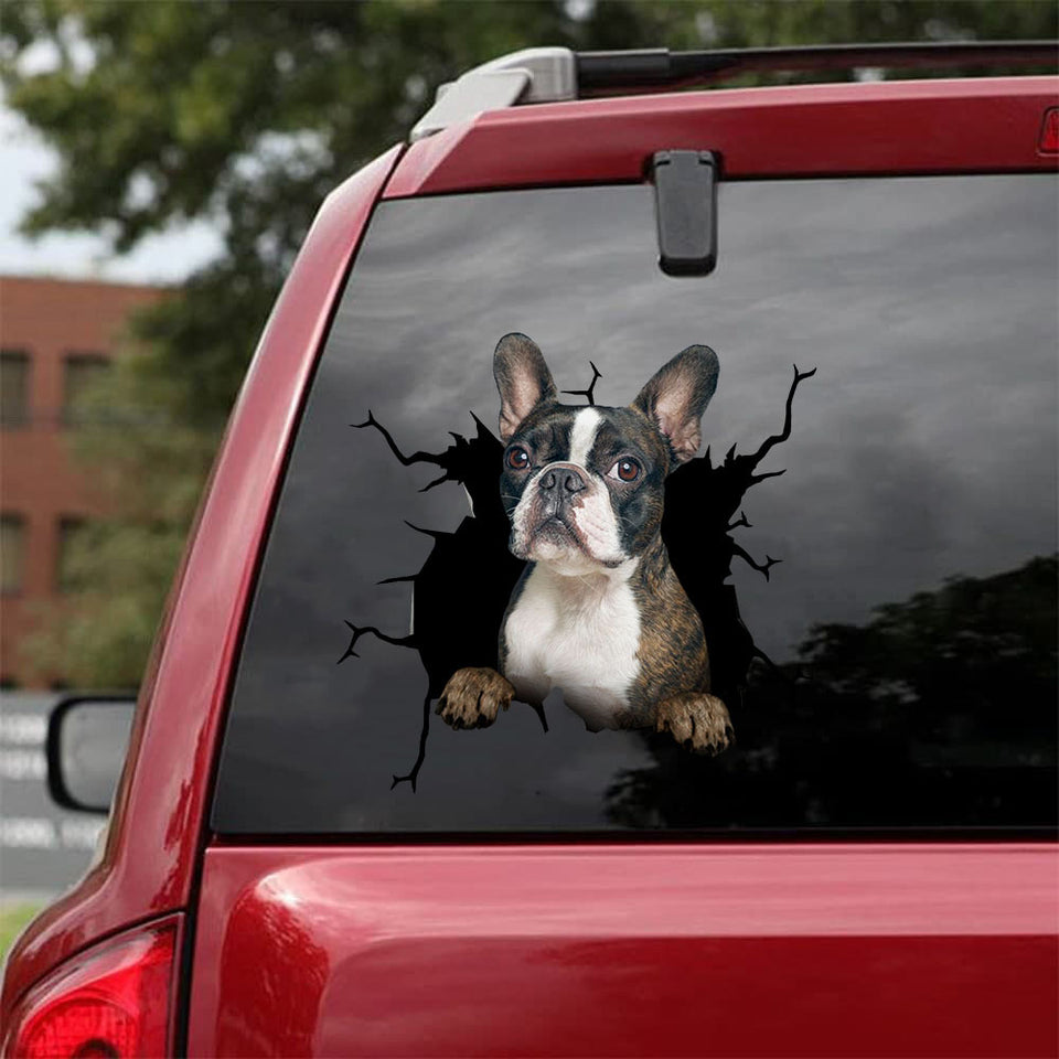 Boston Terrier Crack Sticker Sheets Be Cute Friendship Stickers Birthday Box - Dog Lovers die-cut waterproof vinyl sticker decal