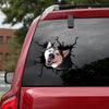 Husky Crack Decal Items Funny Quotes Sunflower Decal Gift Ideas For Boyfriend - Dog Lovers die-cut waterproof vinyl sticker decal