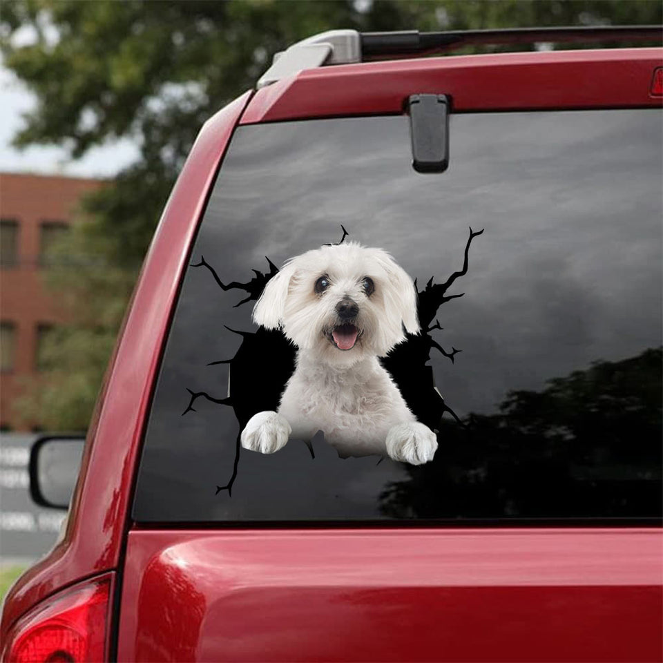 Bichon Crack Decals Funny Memes Custom Bumper Stickers Gift Ideas For Dad - Family & Home die-cut waterproof vinyl sticker decal