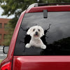 Bichon Crack Decals Funny Memes Custom Bumper Stickers Gift Ideas For Dad - Family & Home die-cut waterproof vinyl sticker decal