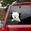 Bichon Crack Head Decal Kawaii Custom Stickers Anniversary Gifts - General die-cut waterproof vinyl sticker decal