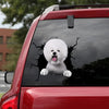 Bichon Crack Sticker Ideas You Cute Vehicle Decals Craft Kits For Adults - General die-cut waterproof vinyl sticker decal