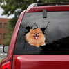 Pomeranian Crack Decals For Walls Lovable Anime Car Sticker Gift For Husband - Dog Lovers die-cut waterproof vinyl sticker decal