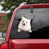 Pomeranian Crack Sticker Album Likeable Vinyl Window Decals Stuffer Ideas - Dog Lovers die-cut waterproof vinyl sticker decal