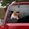 Pomeranian Crack Decals Pretty Sticker Box Gift - Dog Lovers die-cut waterproof vinyl sticker decal