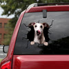 [bv0172-snf-tnt]-whippet-crack-car-sticker-dogs-lover