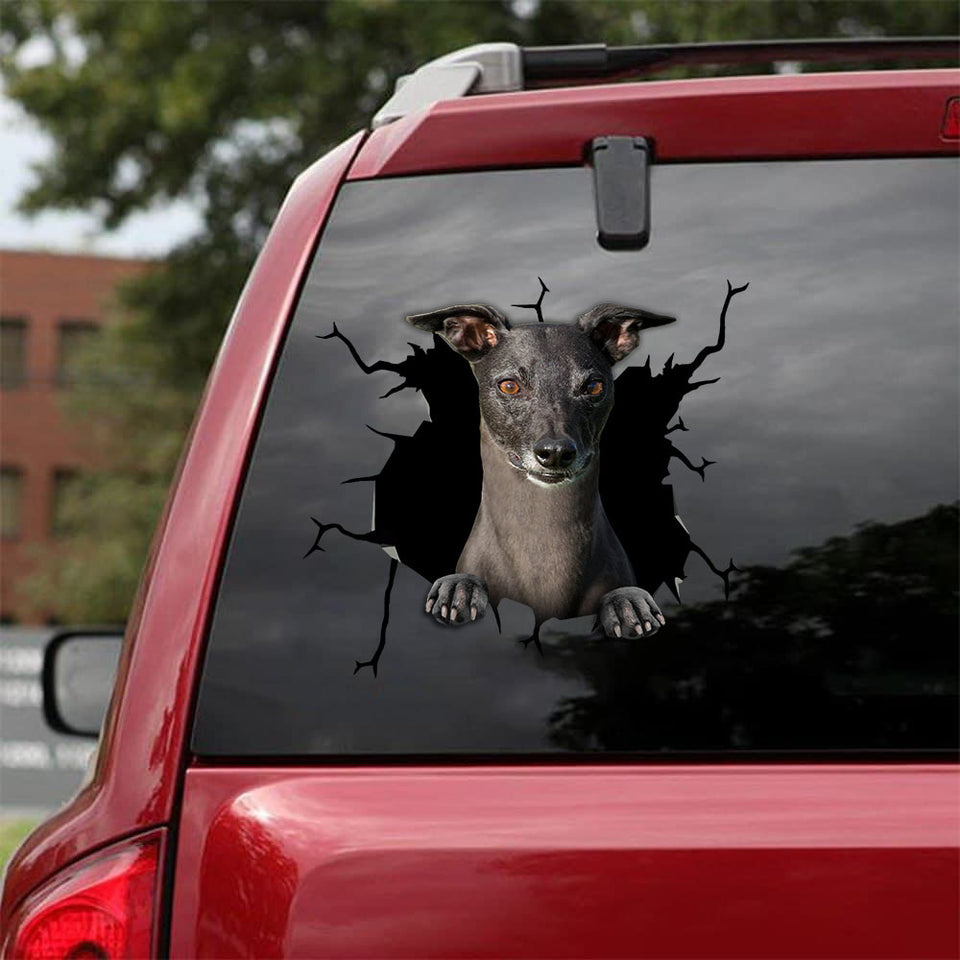 [bv0175-snf-tnt]-whippet-crack-car-sticker-dogs-lover