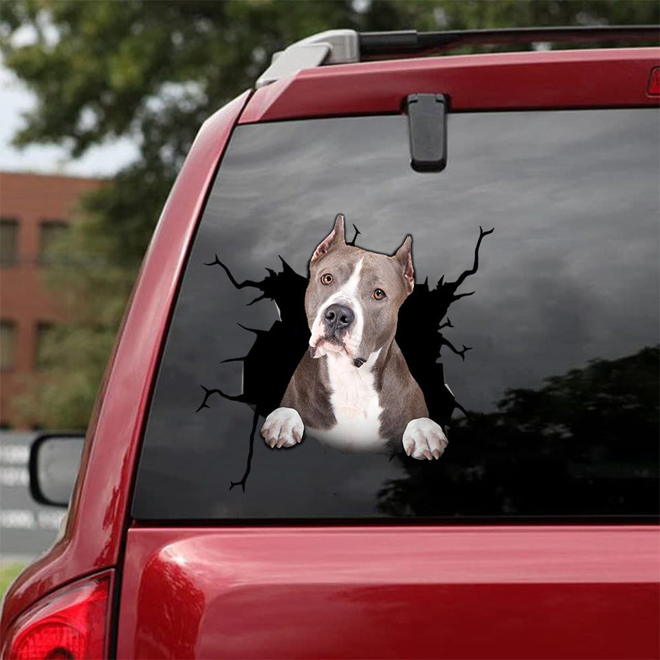 [da0150-snf-tnt]-pitbull-crack-car-sticker-dogs-lover