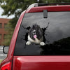 [da1087-snf-tnt]-newfoundland-crack-car-sticker-dogs-lover