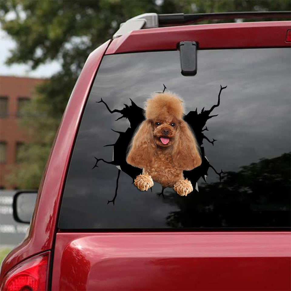 [bv1080-snf-tpa]-poodle-crack-car-sticker-dogs-lover