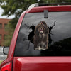 [ld0462-snf-tpa]-havanese-crack-car-sticker-dogs-lover
