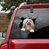 [ld0463-snf-tpa]-havanese-crack-car-sticker-dogs-lover