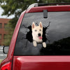 Siberian Husky Crack Stickers Funny Memes Vinyl Labels Best Housewarming Gifts - Dog Lovers die-cut waterproof vinyl sticker decal