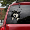 Siberian Husky Crack Sticker Ideas Funny Birthday Memes Car Sticker Christmas Gift Ideas For Mom - Dog Lovers die-cut waterproof vinyl sticker decal