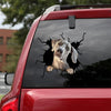 [bv0209-snf-tpa]-great-dane-crack-car-sticker-dogs-lover